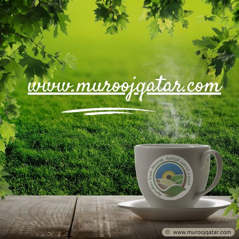 Slide background